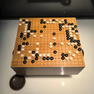 Weiqi Class (Adults)